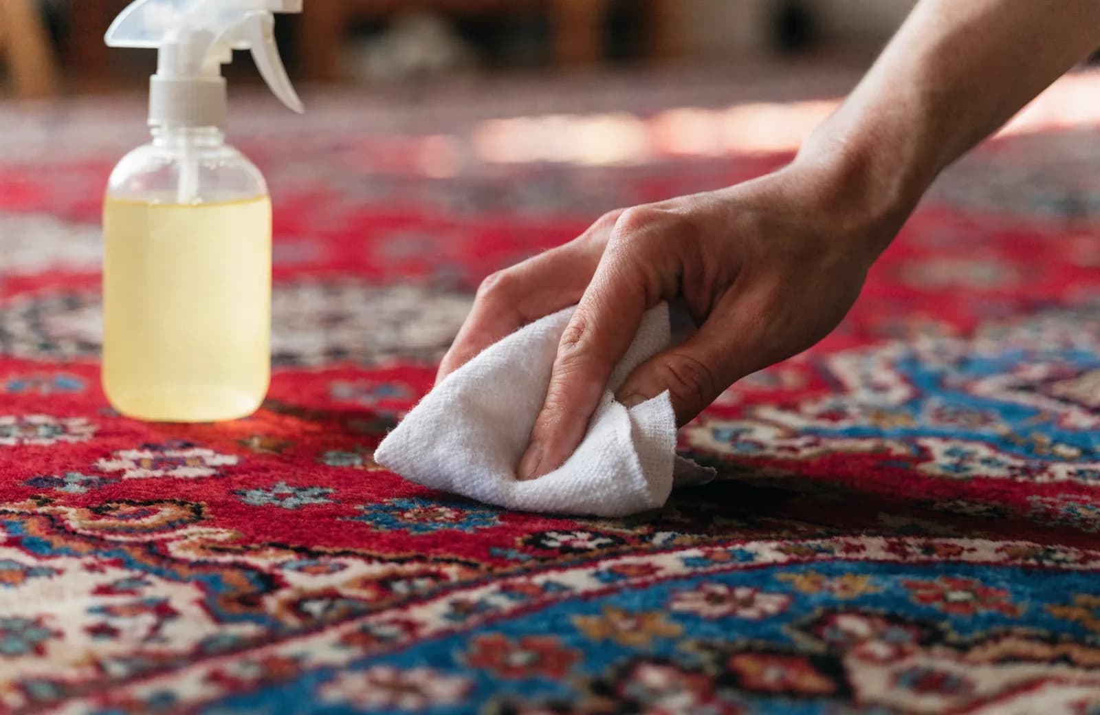 Removing Stains from Wool Rugs: Coffee, Wine & Oil
